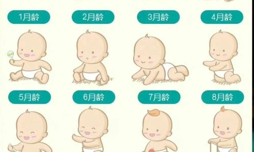 安利vc吃法网 - 安利维C的作用,安利维C一天正确吃法